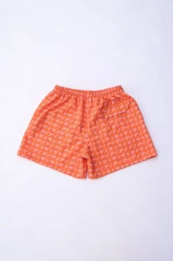 Nick Swim Trunk - Tropicana -VitaMode Store 1F9A9458
