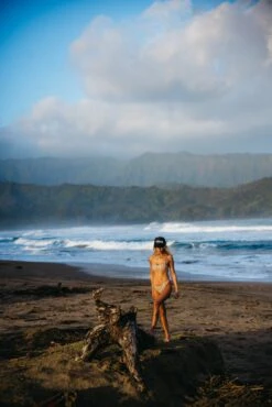 Maddie Top - Radical -VitaMode Store 240118 skatie 6156 4012a01a 0c4c 4fd0 9bec 20e3e17bd595