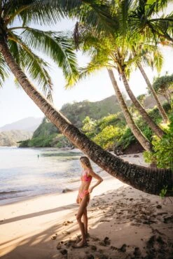 Mandi Bottom - Acai 20 Mandi Bottom - Acai -VitaMode Store 240118 skatie 8122 035be188 68be 4ac4 8c99 f94aec2d1deb