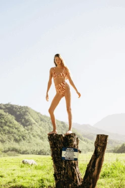 Monroe Bottom - Tunnels -VitaMode Store SkatieE comm 6 92439287 dbef 4445 bda3 1cf3e52e9f34